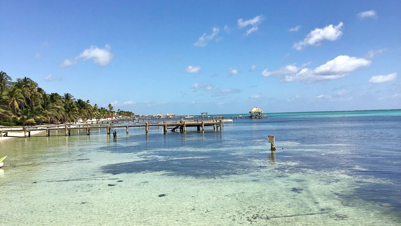 Photo of Others in San Pedro