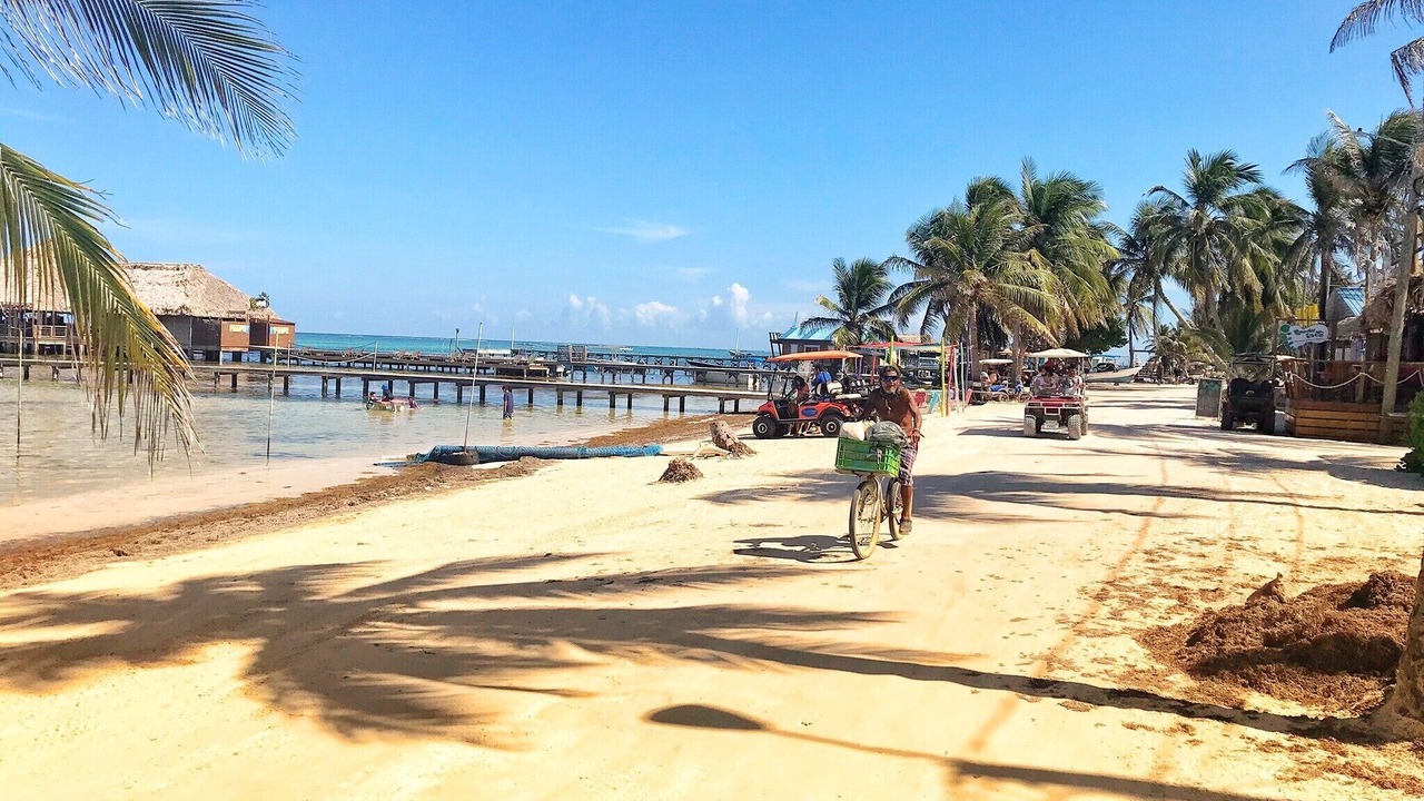 Photo of Others in San Pedro