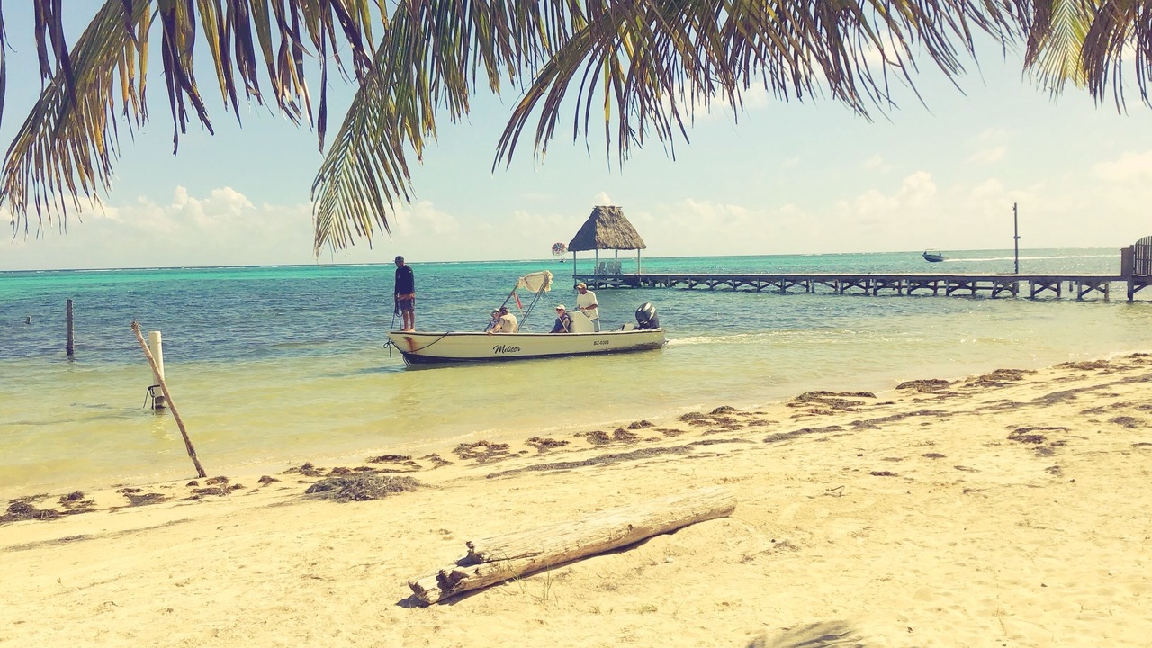 Photo of Others in San Pedro
