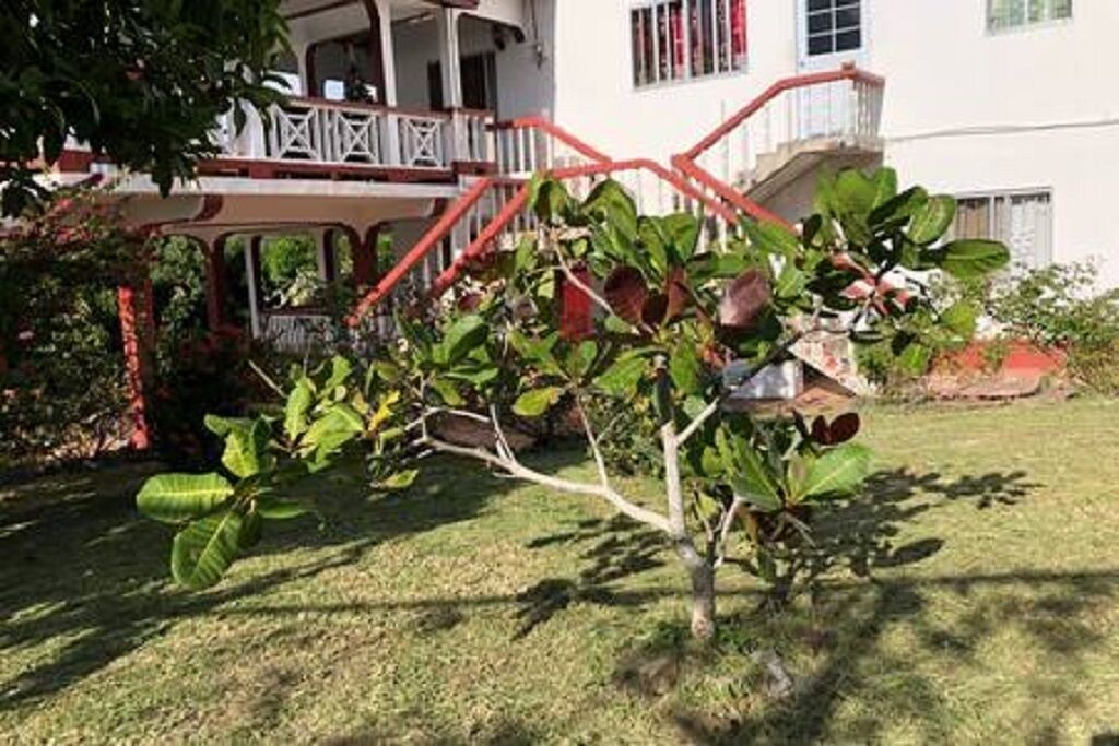 Photo of Outdoor in Laborie