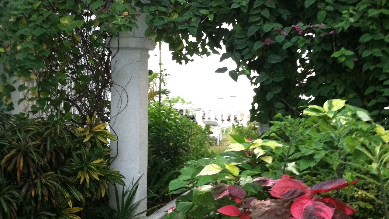 Photo of Others in Spring Garden