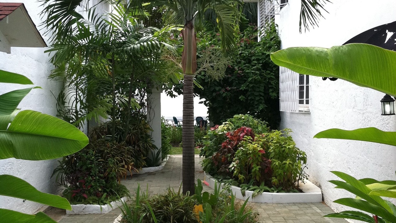 Photo of Outdoor in Spring Garden