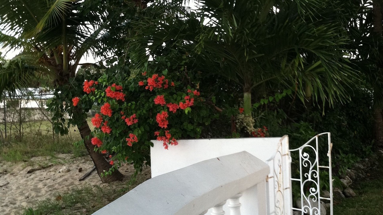 Photo of Outdoor in Spring Garden