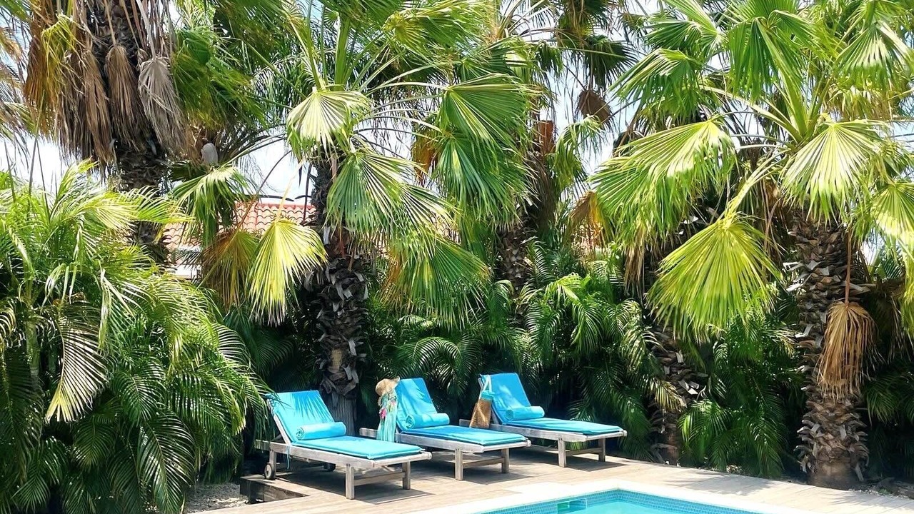 Photo of Outdoor in Bubali