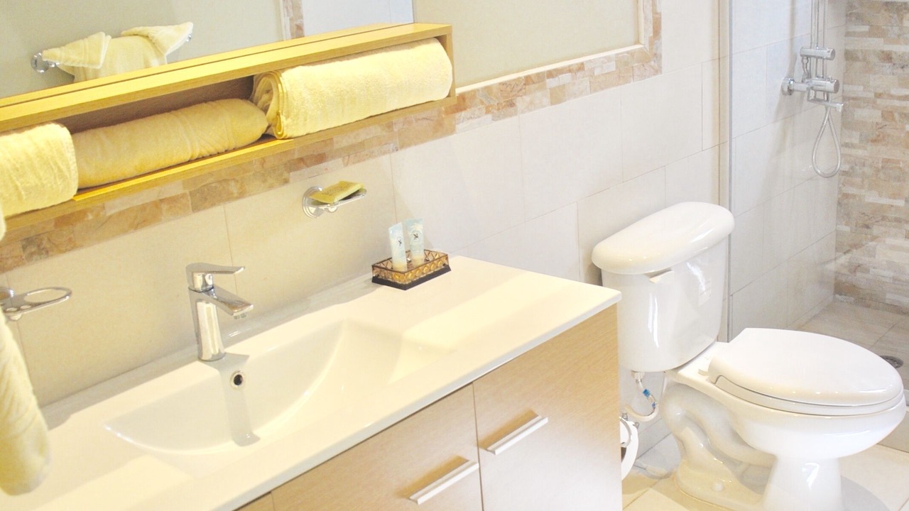 Photo of Bathroom in Mammee Bay