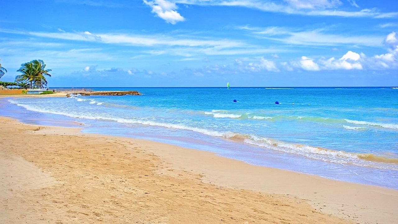 Photo of Others in Mammee Bay