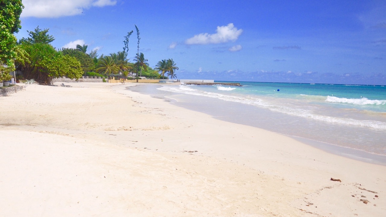 Photo of Others in Mammee Bay