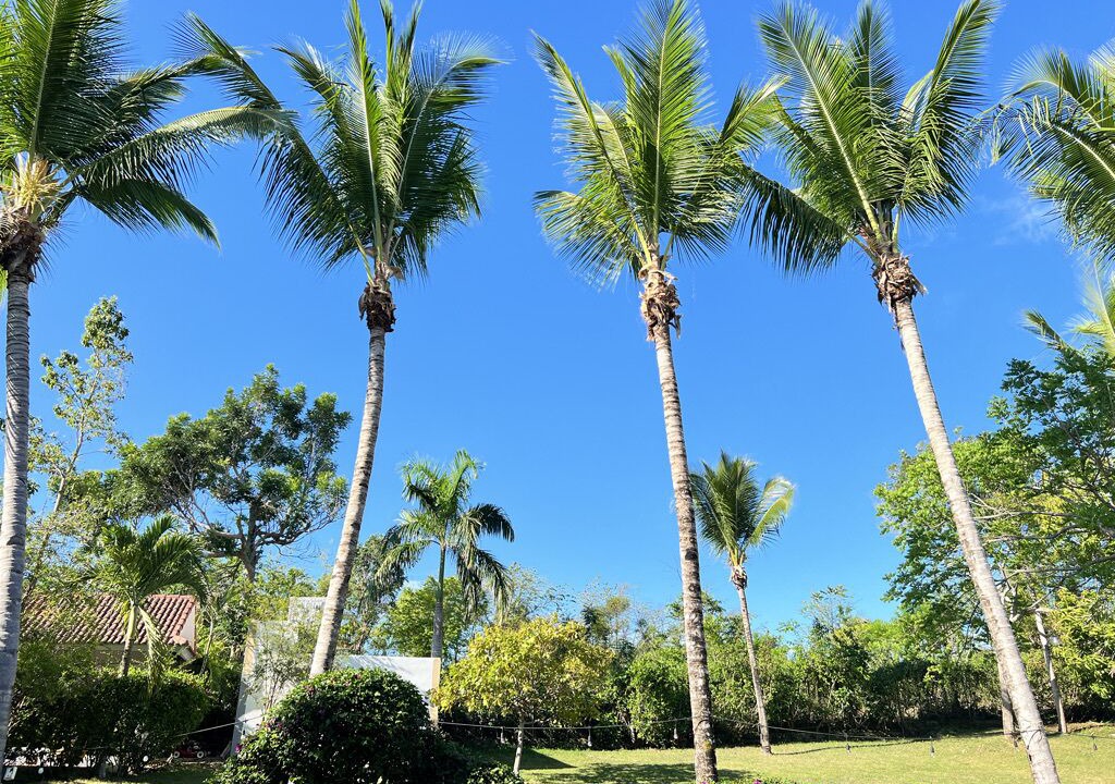 Photo of Outdoor in Sosua