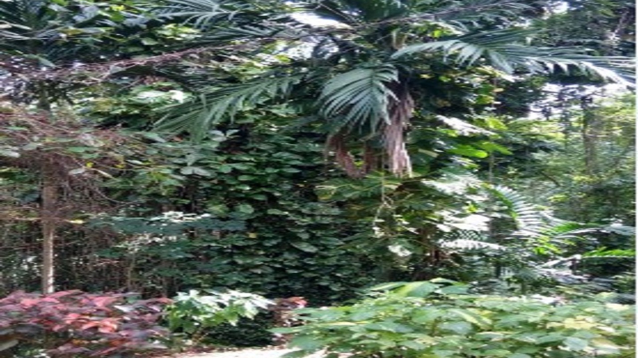 Photo of Outdoor in Falmouth