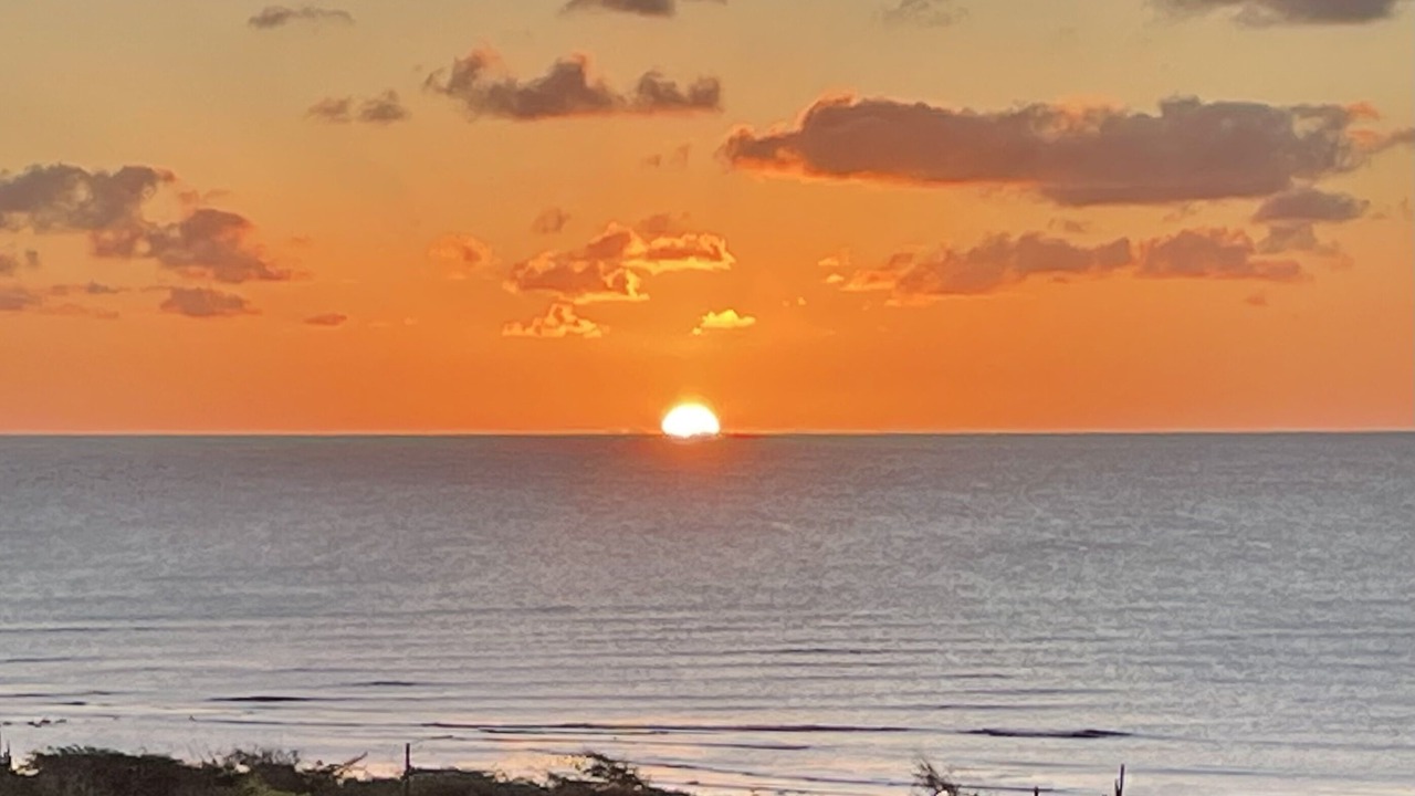 Photo of Others in Palm Beach