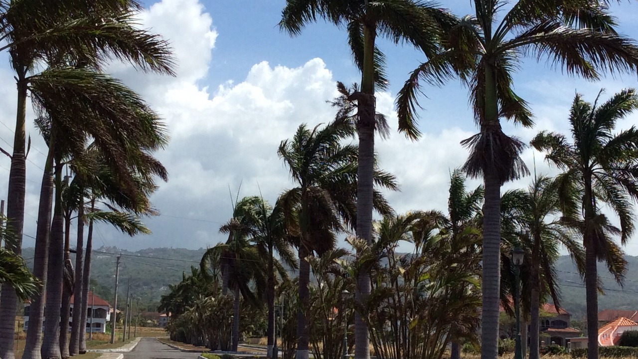 Photo of Others in Plantation Village