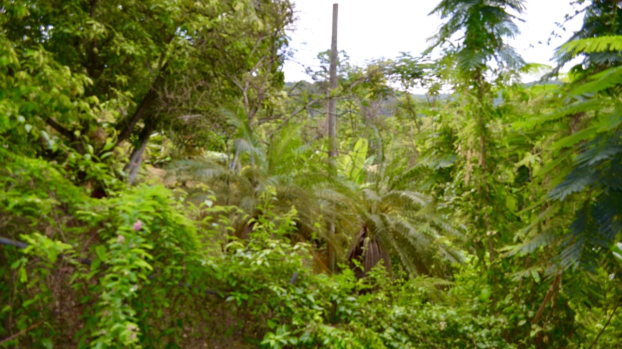 Photo of Outdoor in Runaway Bay