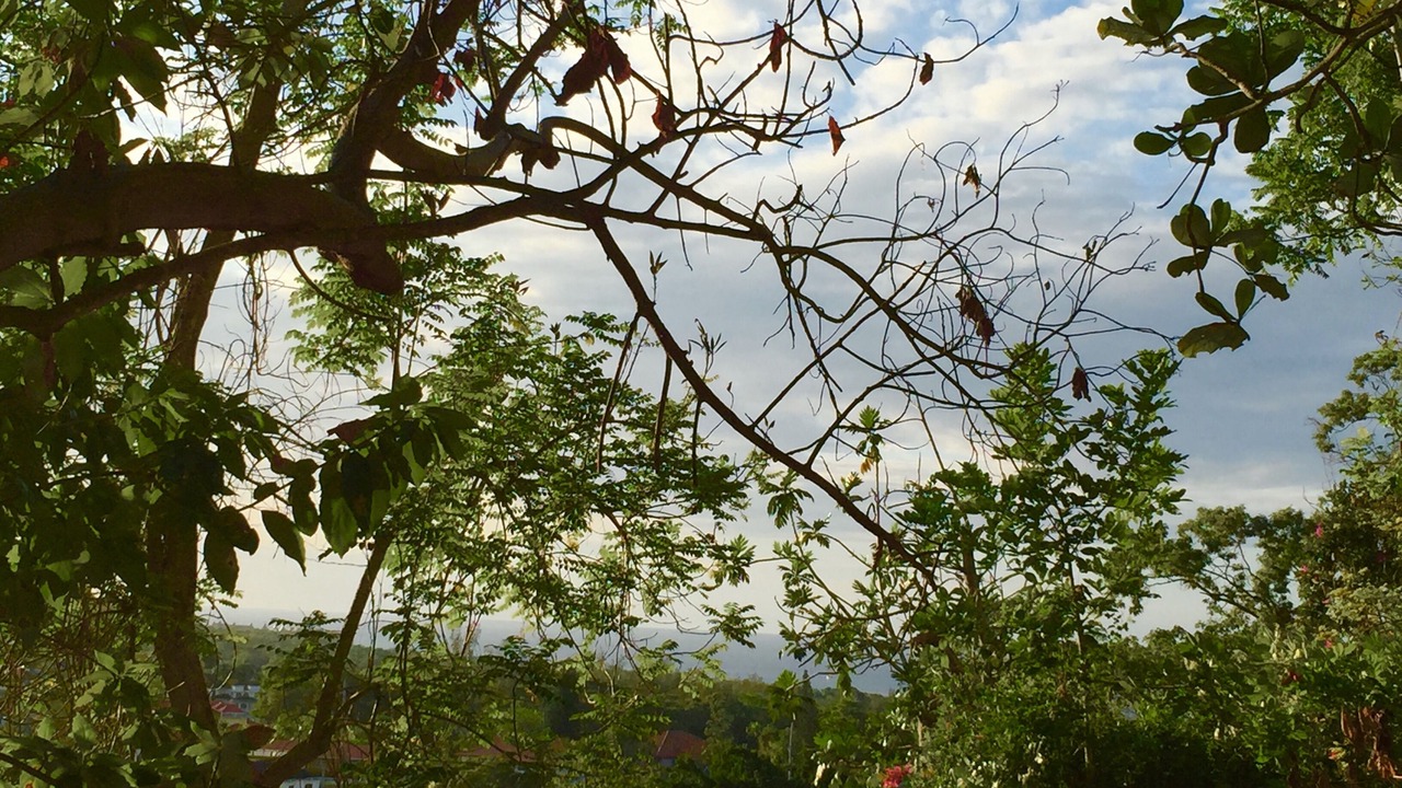 Photo of Outdoor in Runaway Bay
