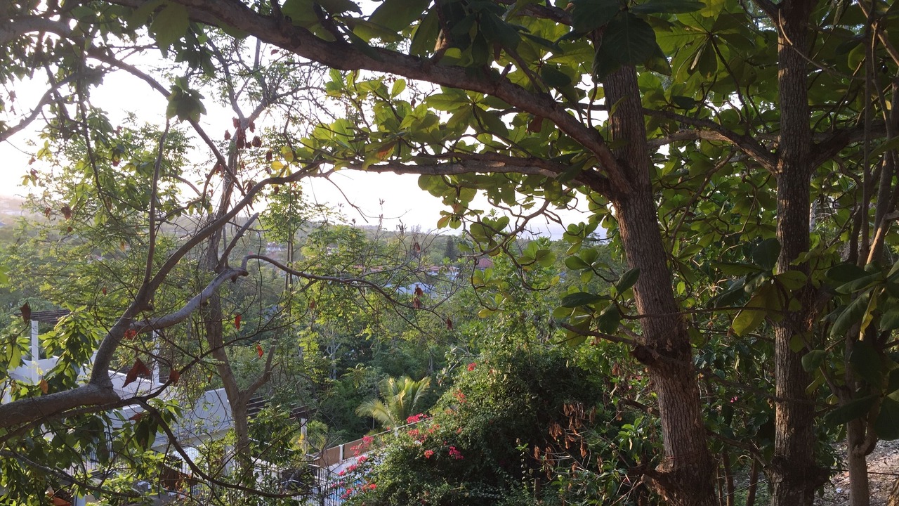 Photo of Outdoor in Runaway Bay