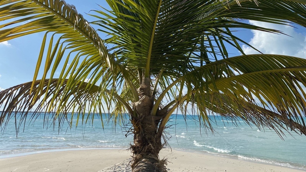 Photo of Others in Treasure Cay