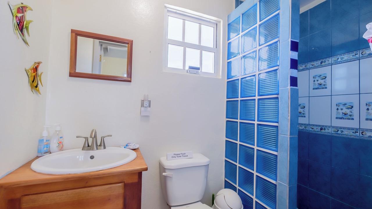 Photo of Bathroom in Boca Ciega