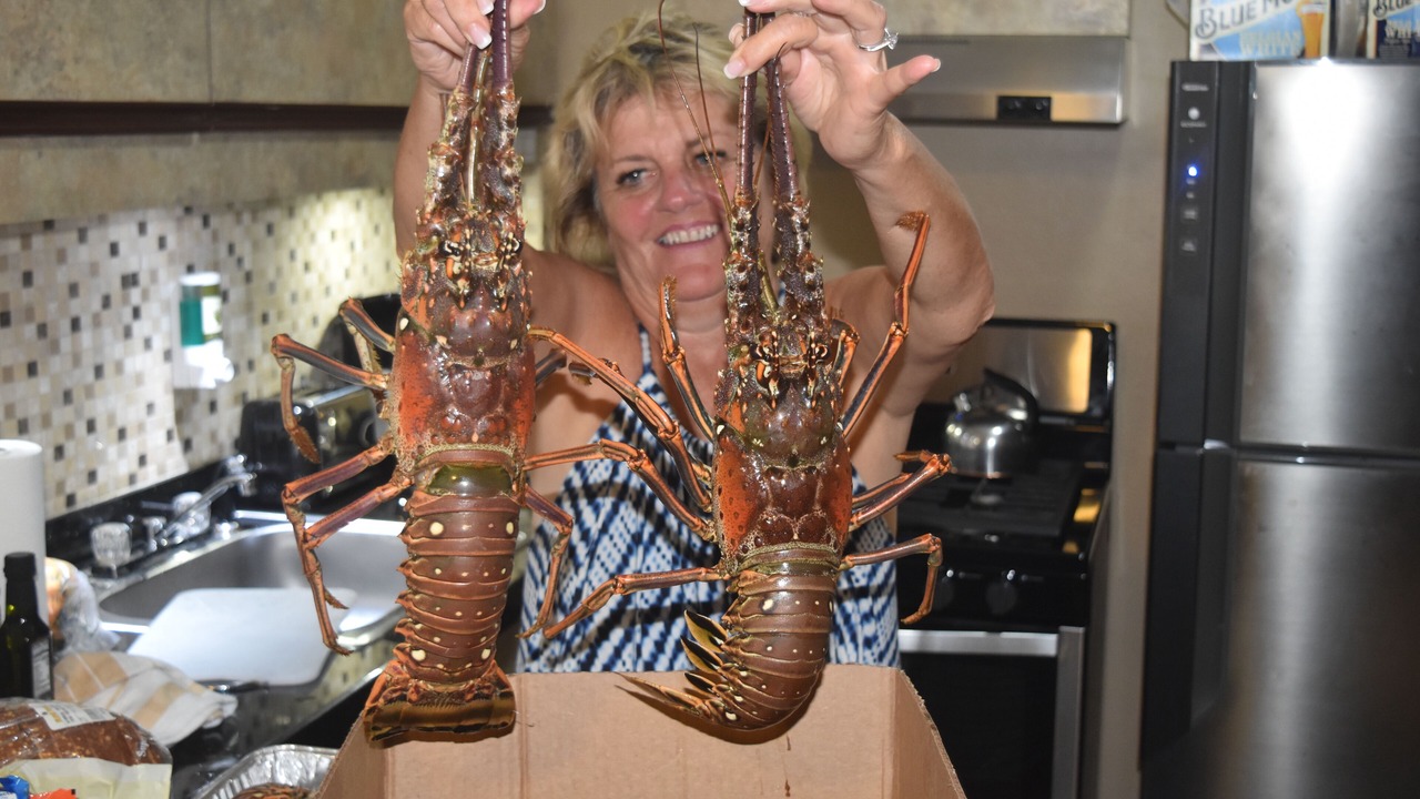Photo of Others in Oranjestad-West