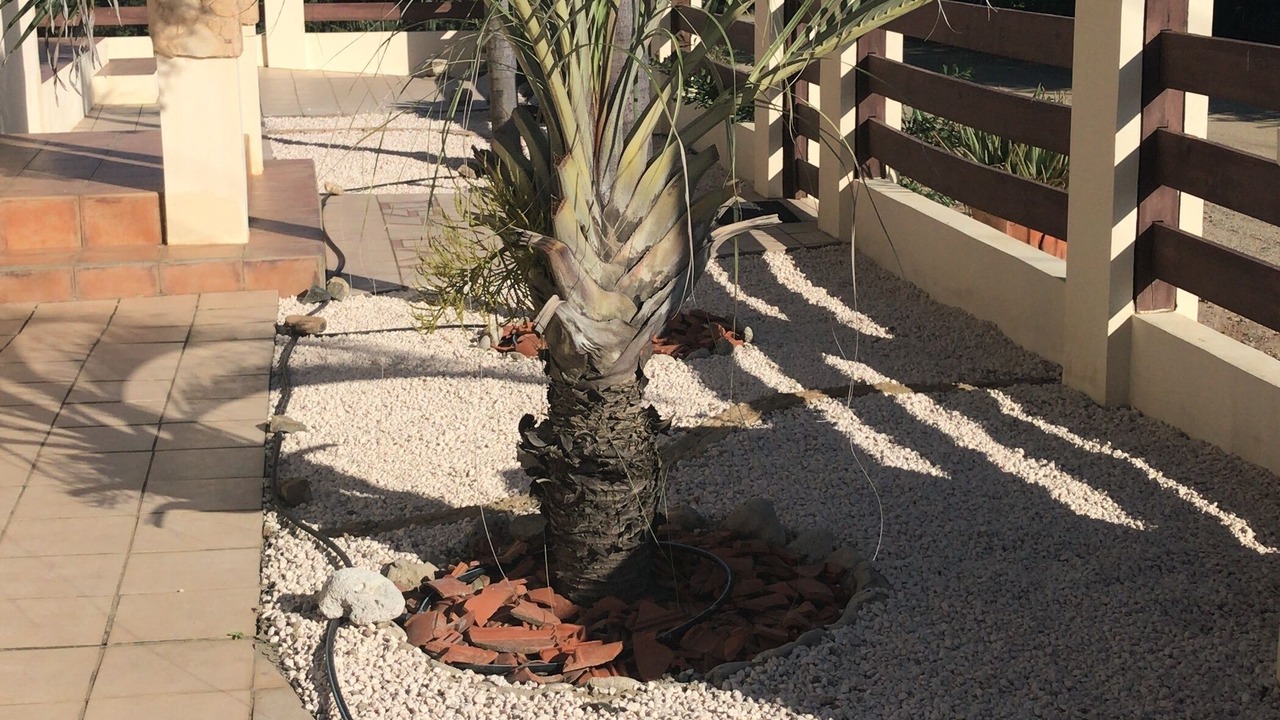 Photo of Outdoor in Ayo