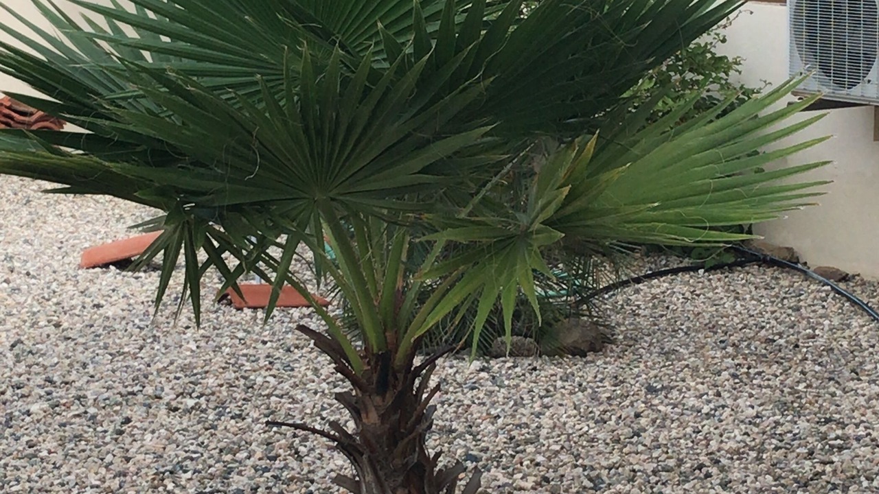 Photo of Outdoor in Ayo