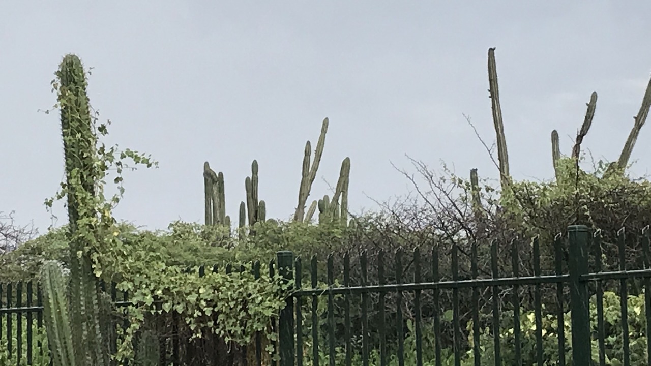 Photo of Outdoor in Ayo