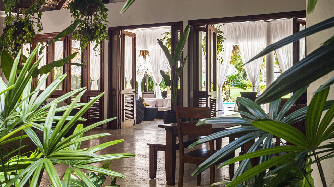 Photo of Outdoor in Punta Cana