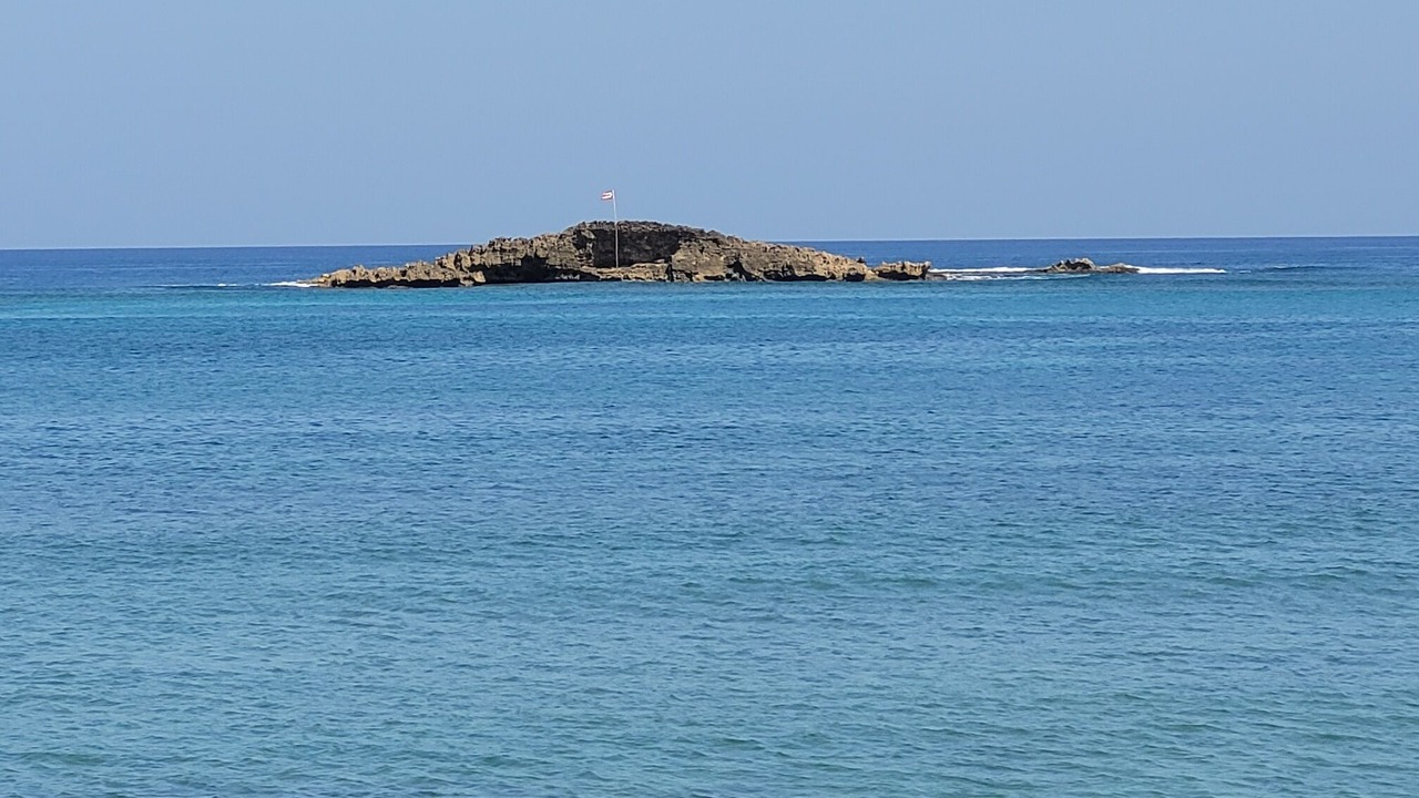 Photo of Others in Puerto Nuevo