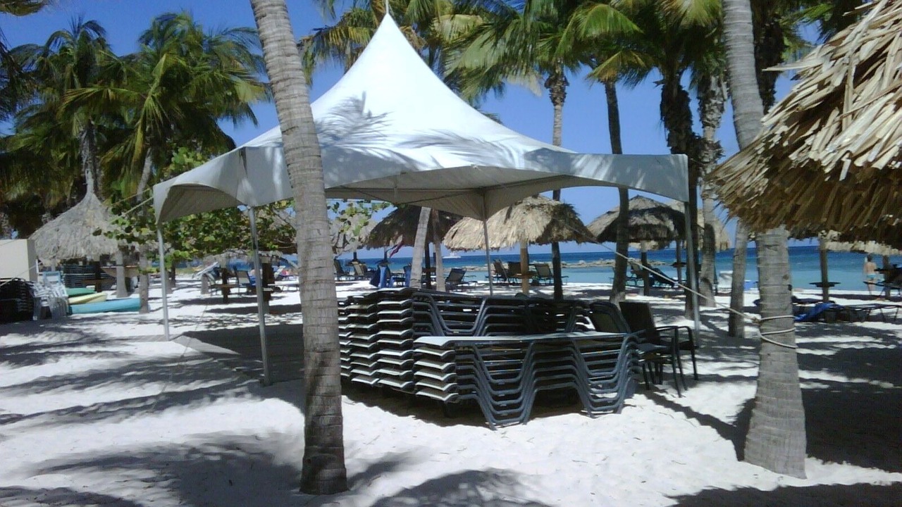 Photo of Others in Palm Beach