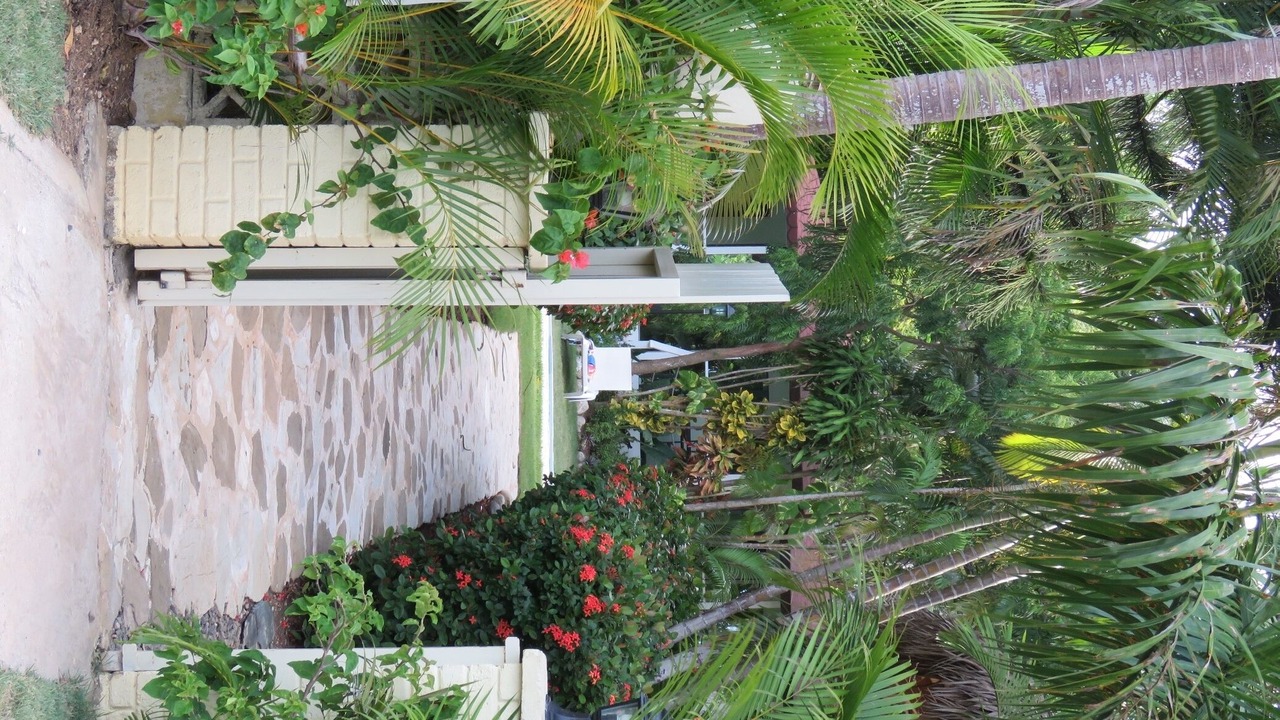 Photo of Outdoor in Urbanizacion Tavarez