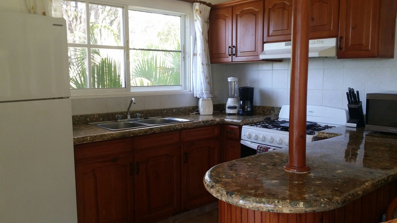Photo of Kitchen in Urbanizacion Tavarez