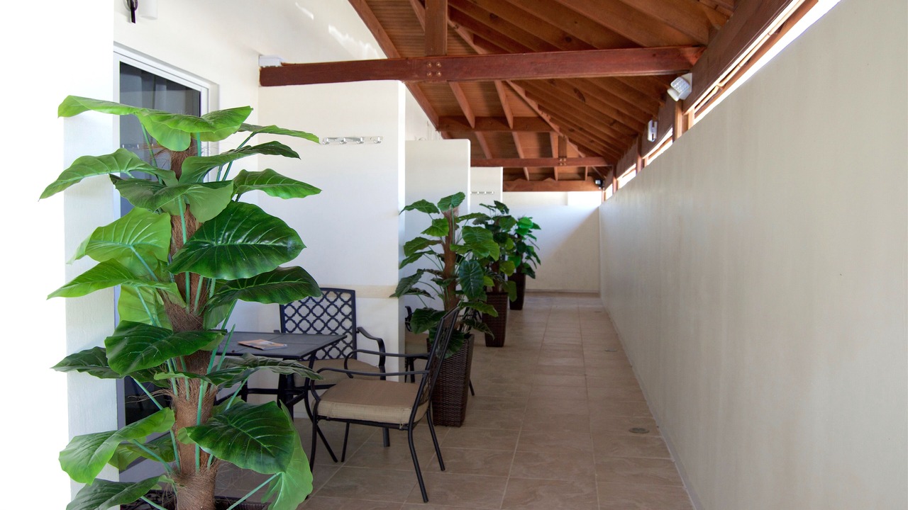Photo of Outdoor in Palm Beach