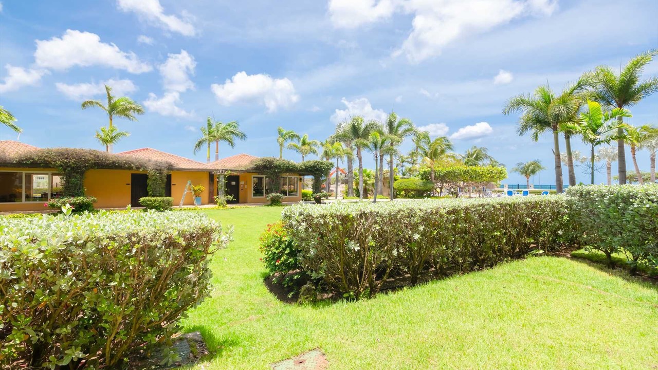 Photo of Outdoor in Oranjestad-West