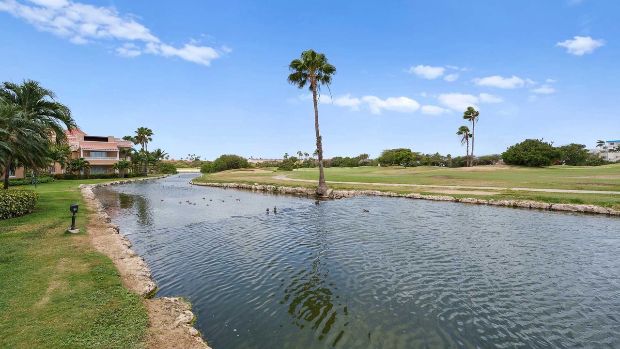 Photo of Outdoor in Oranjestad-West
