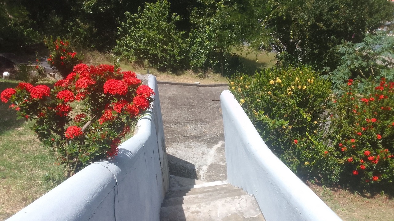 Photo of Outdoor in Gros Islet