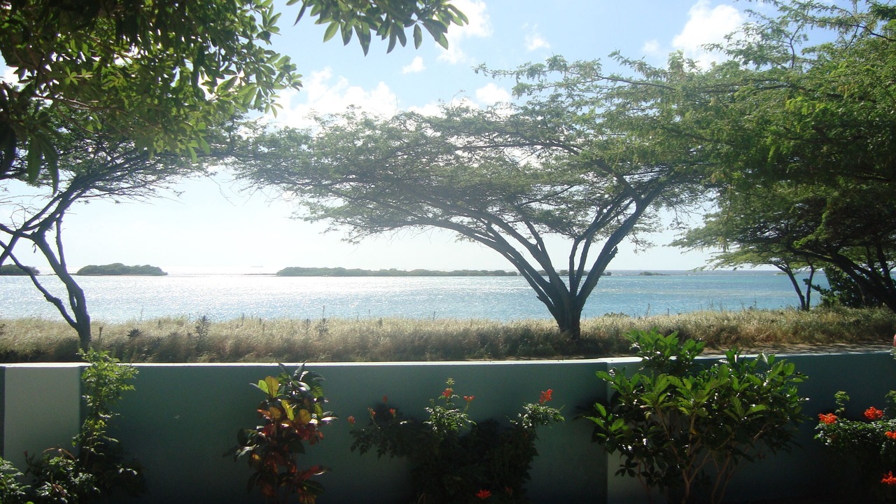 Photo of Outdoor in Pos Chiquito