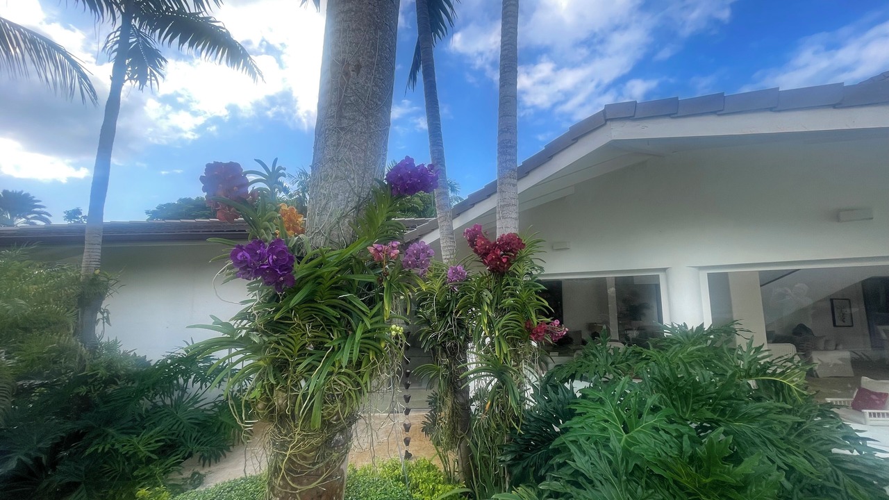 Photo of Outdoor in Punta Aguila
