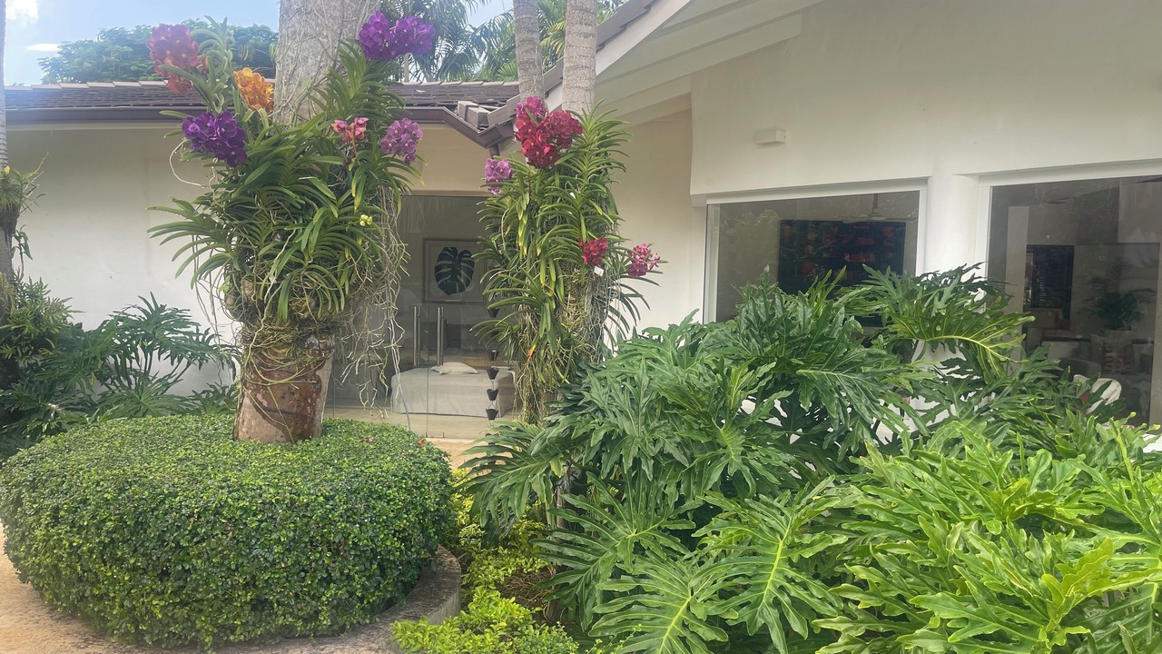 Photo of Outdoor in Punta Aguila