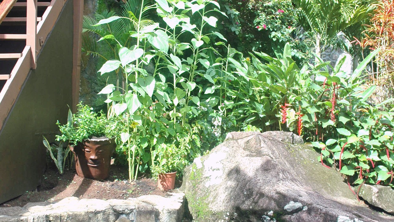 Photo of Outdoor in Choiseul Quarter