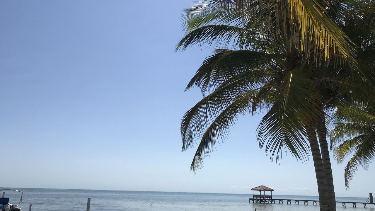 Photo of Others in San Pedro