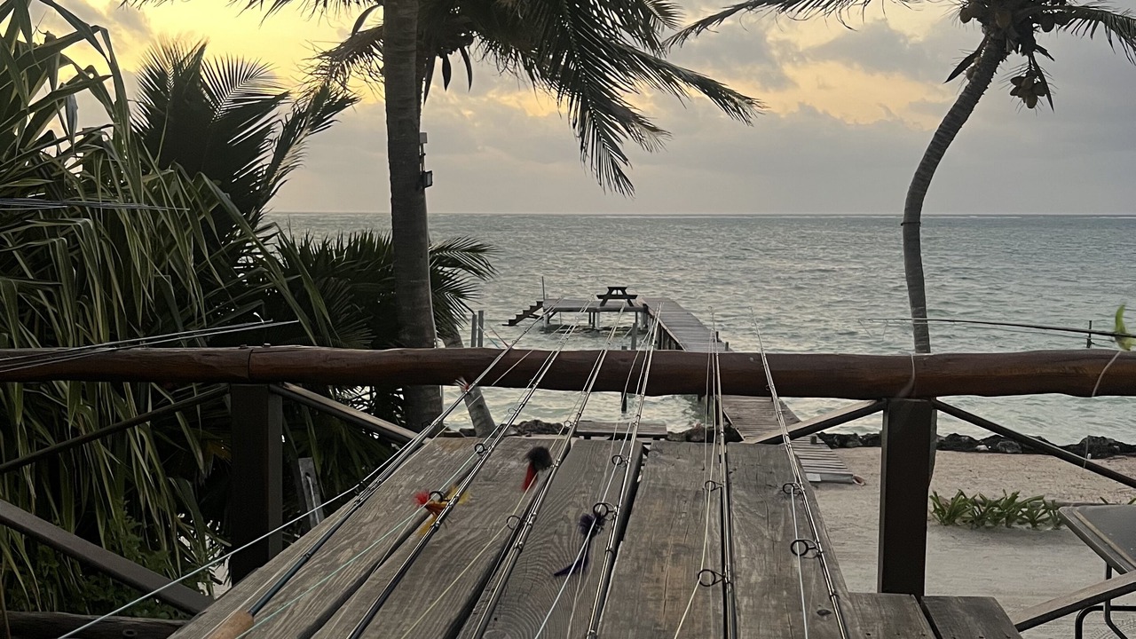Photo of Outdoor in San Pedro