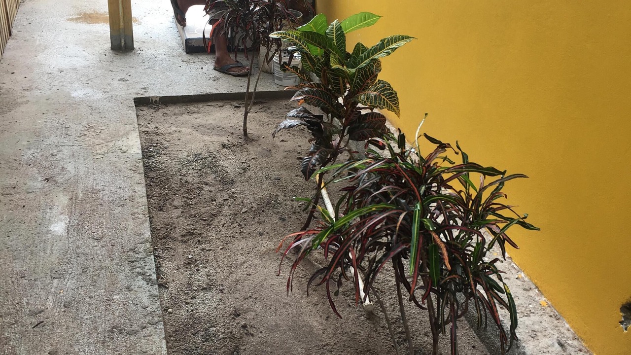 Photo of Outdoor in Placencia