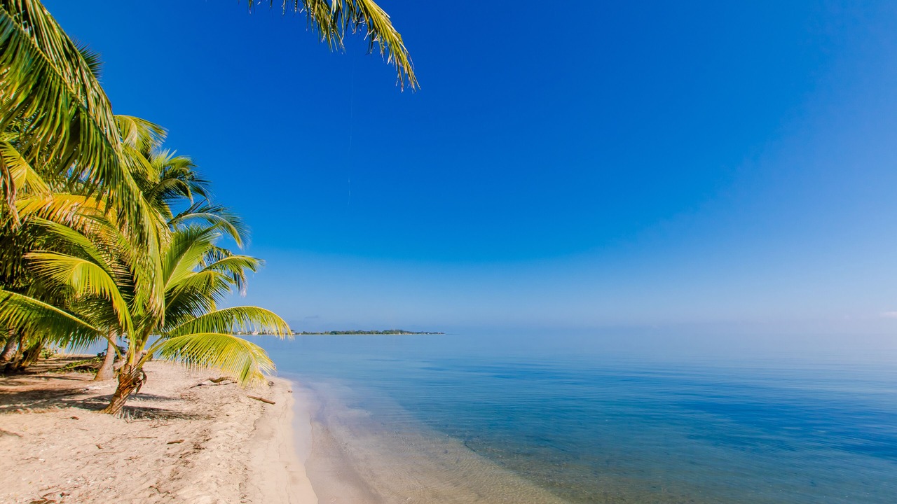 Photo of Others in Placencia