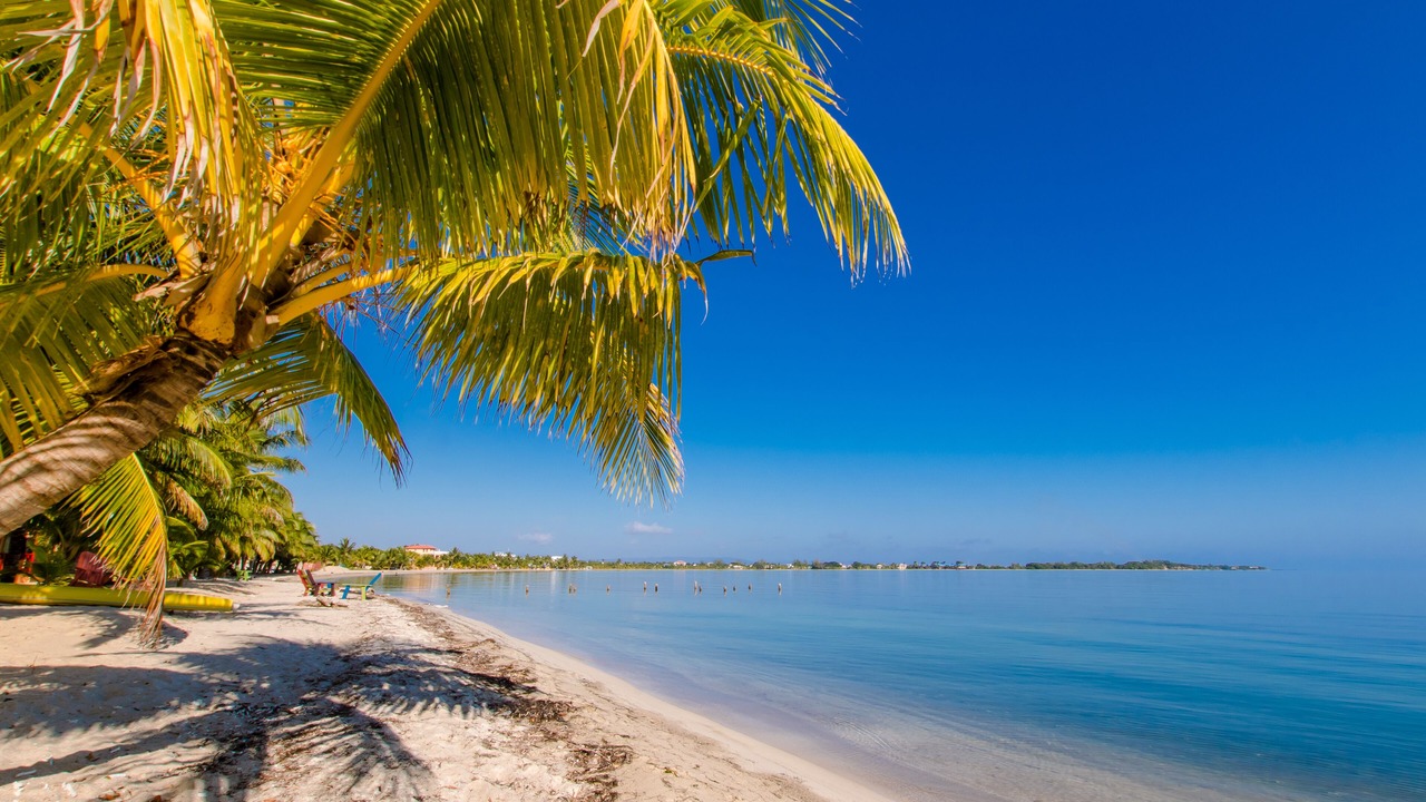 Photo of Others in Placencia