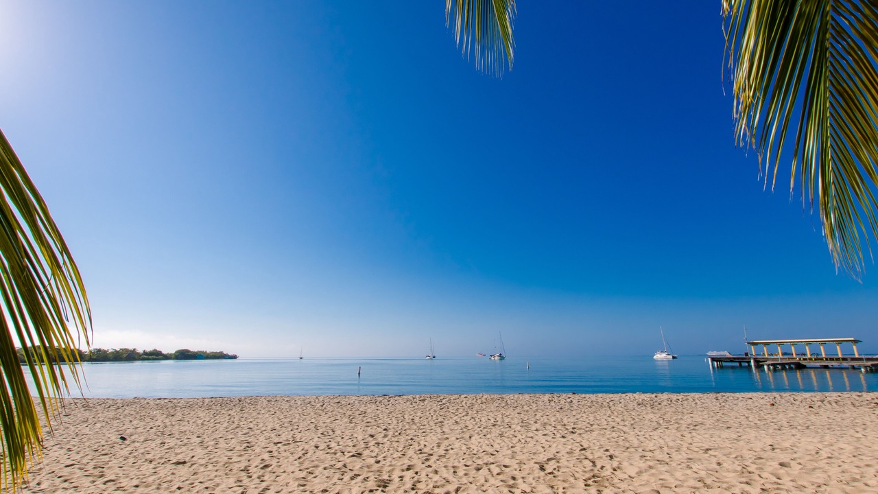 Photo of Others in Placencia