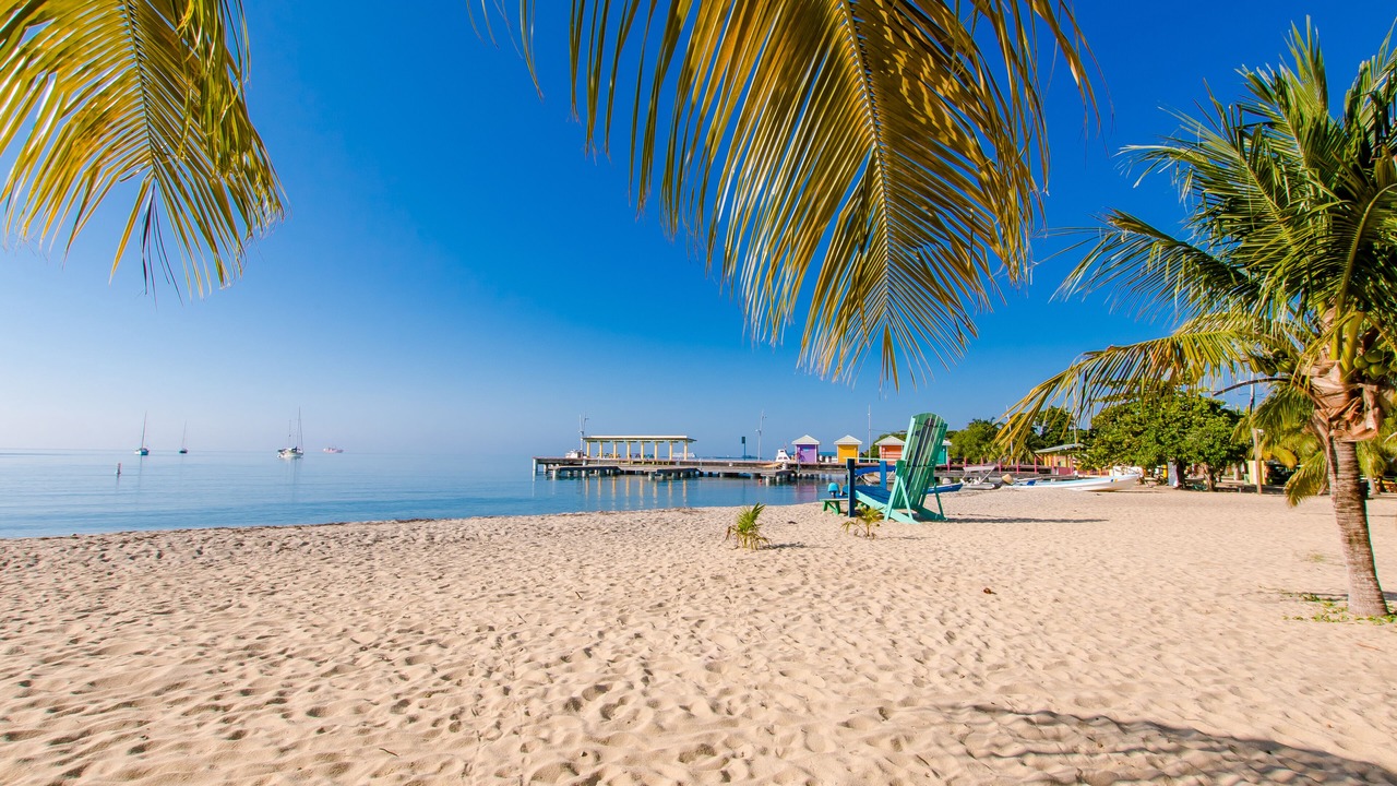 Photo of Others in Placencia