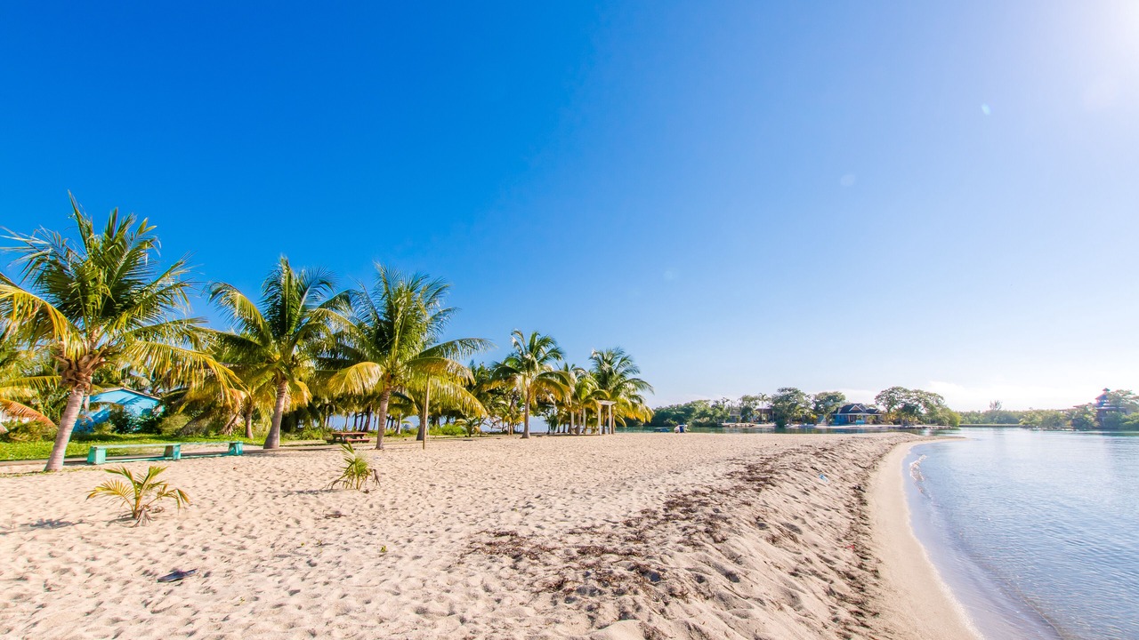 Photo of Others in Placencia