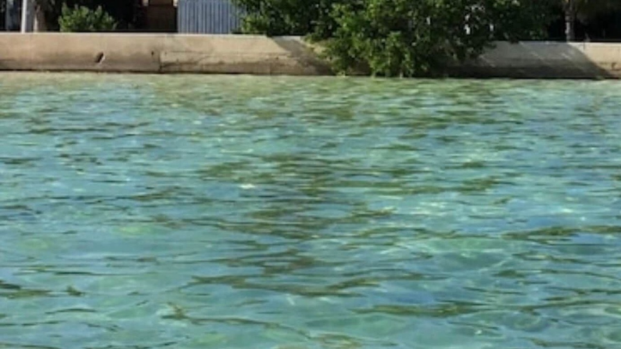 Photo of Others in Green Turtle Cay