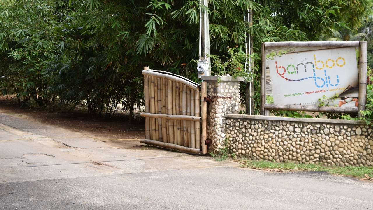 Photo of Others in Mammee Bay