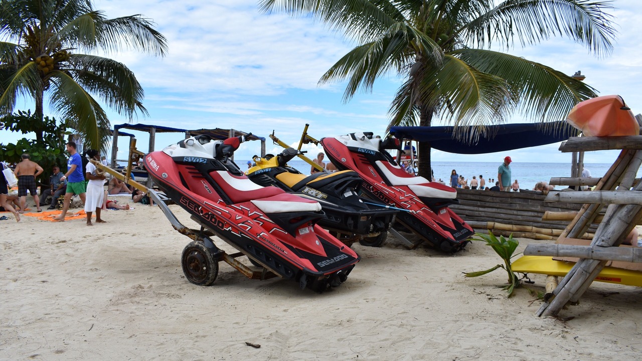 Photo of Others in Mammee Bay