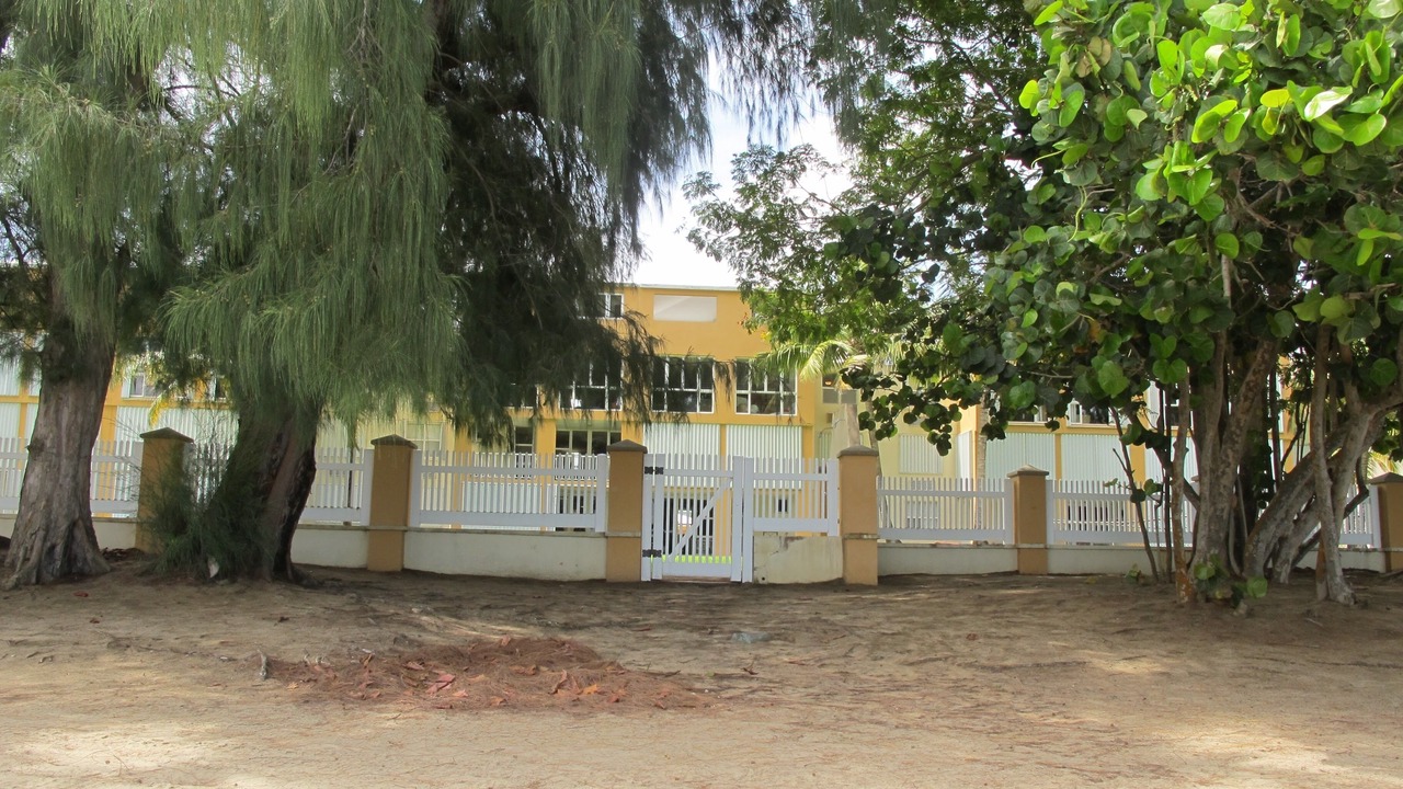 Photo of Outdoor in Mediania Baja