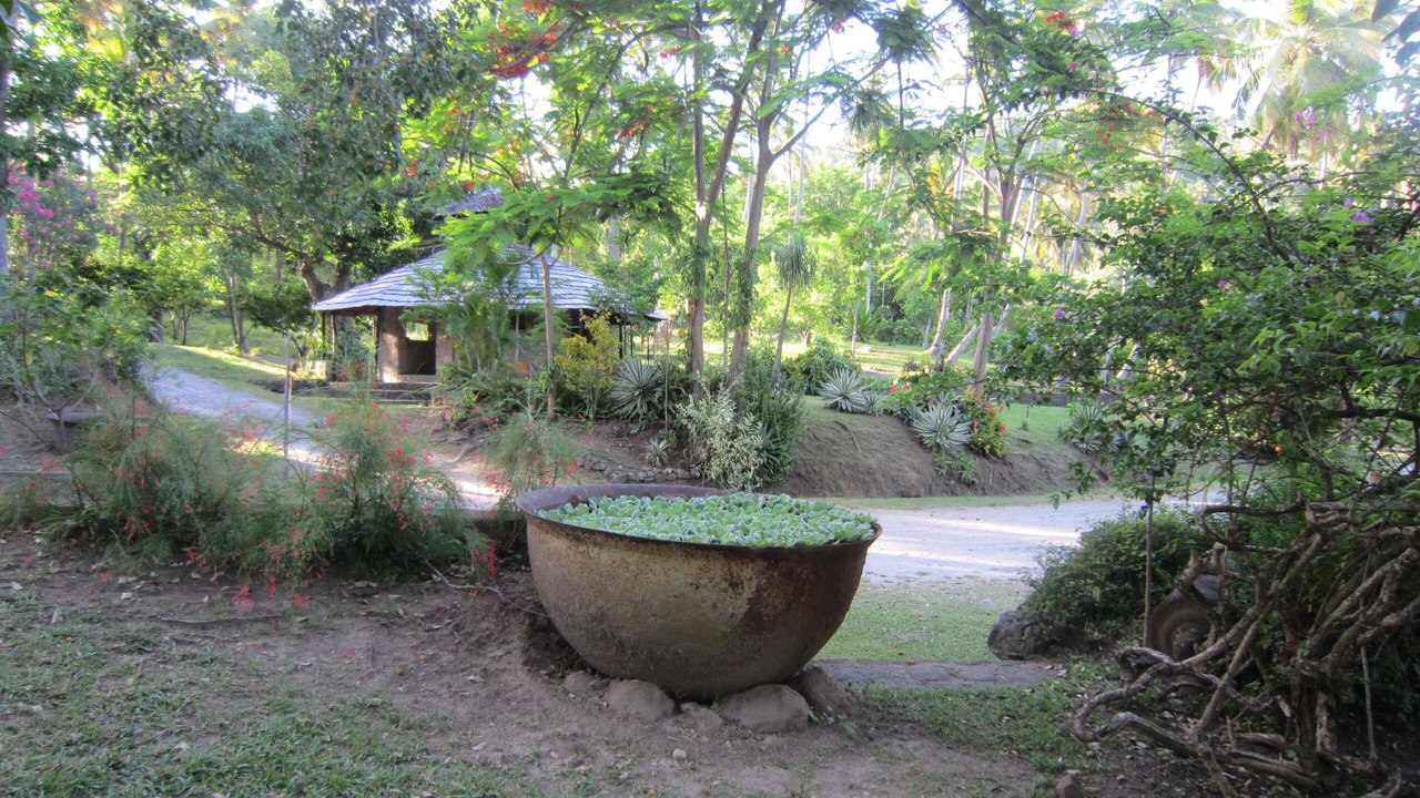 Photo of Outdoor in Soufriere